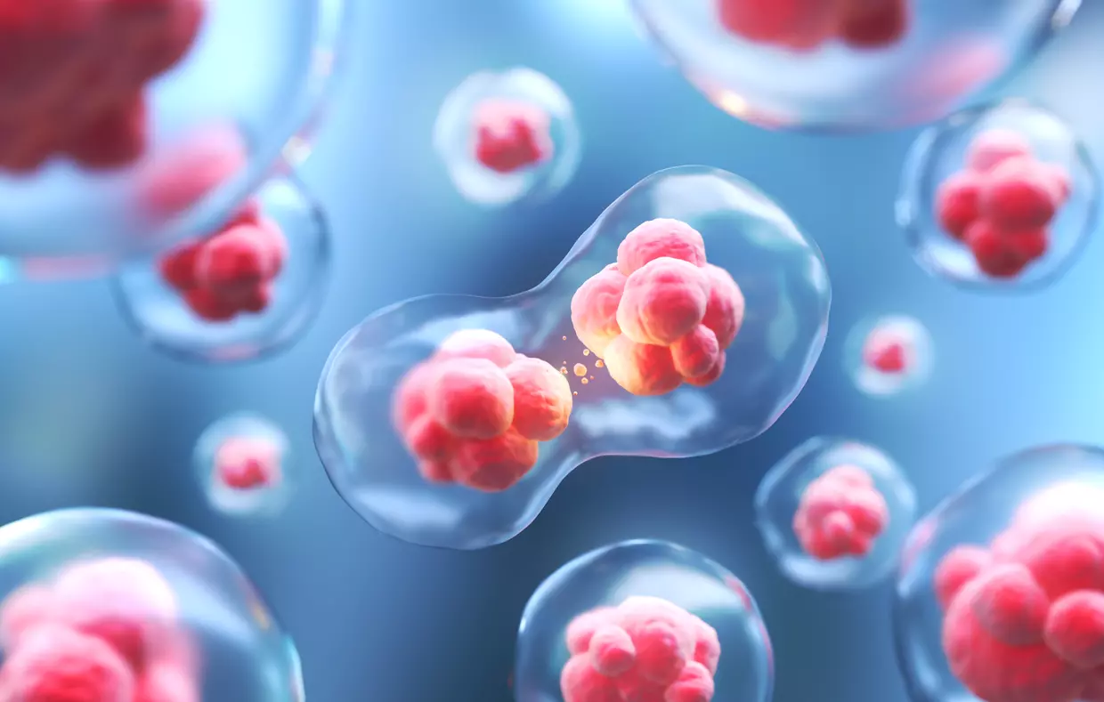 Une bombe dans le domaine hyperbare : et si la pression était la clé??